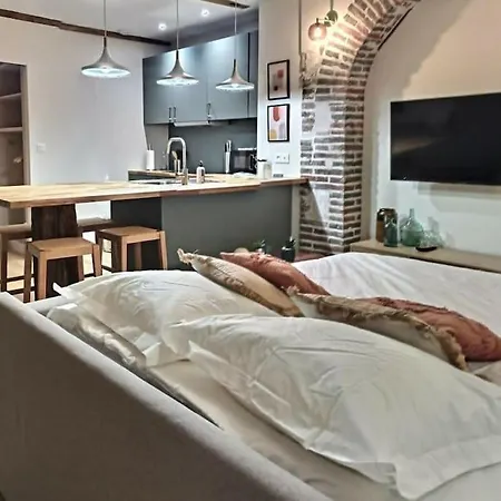 Le Vieux Nizier - Mon Groom Appartamento Troyes